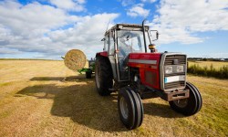 Etiam commodo convallis