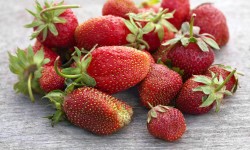 Lorem ipsum dolor sit